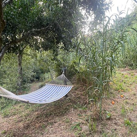 Nascente, Place In Nature Next To A Waterfall Loureiro  Екстериор снимка