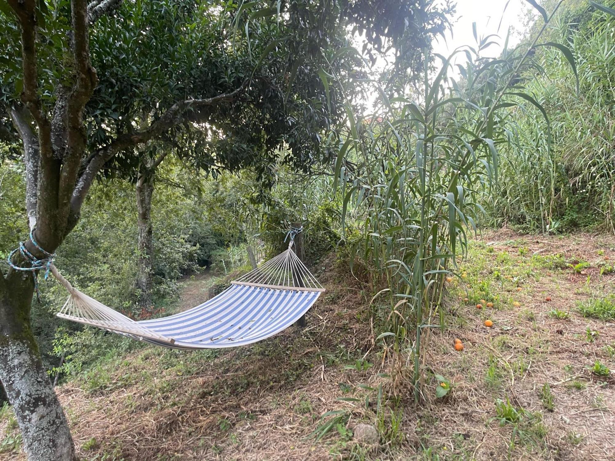 Nascente, Place In Nature Next To A Waterfall Loureiro  Екстериор снимка