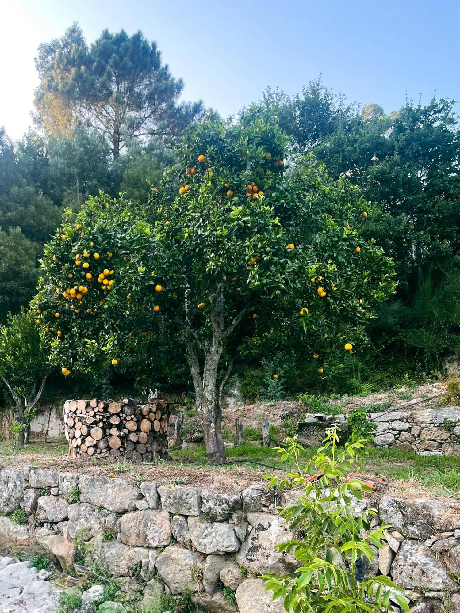 Nascente, Place In Nature Next To A Waterfall Loureiro  Екстериор снимка