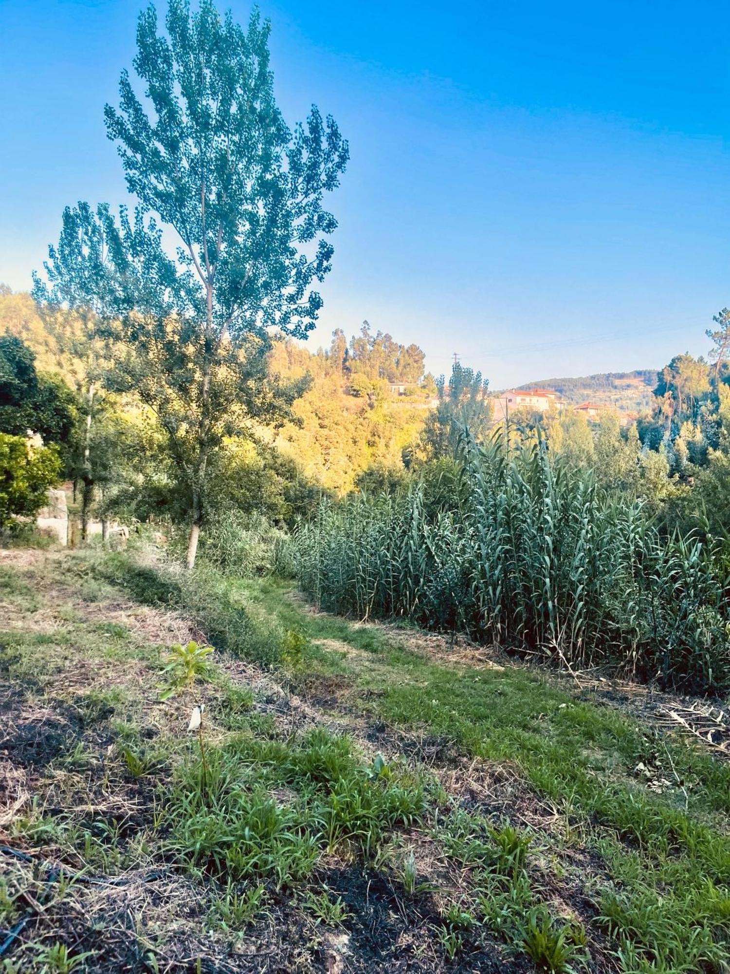 Nascente, Place In Nature Next To A Waterfall Loureiro  Екстериор снимка